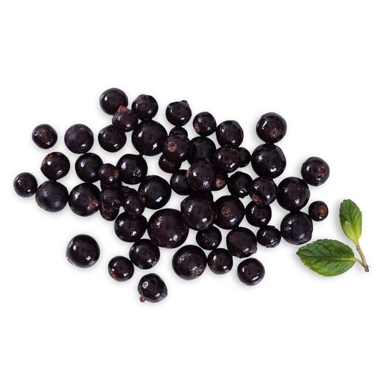 מחית קסיס דומדמניות שחורות מוקפאת - פריקפוא - פריקפוא