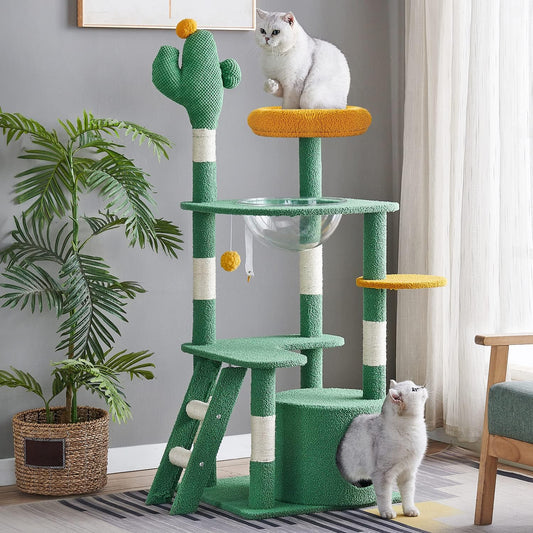 מתקן גירוד מעוצב קקטוס לחתולים בעל 5 קומות - Feed My Pet - פריקפוא