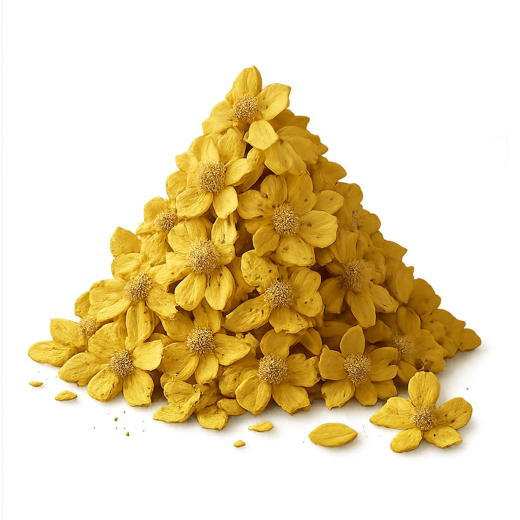 פרחי בוצין מיובשים - גד השדה - פריקפוא