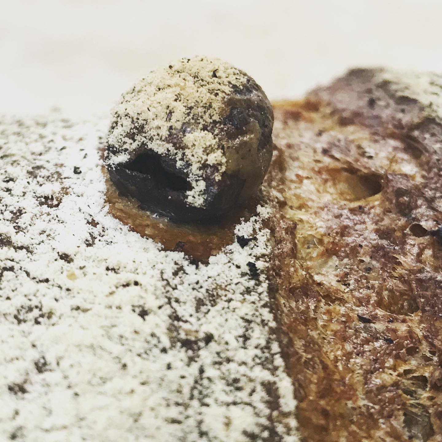 לחם מחמצת זיתים חיטה מלאה - אנשי הלחם - פריקפוא