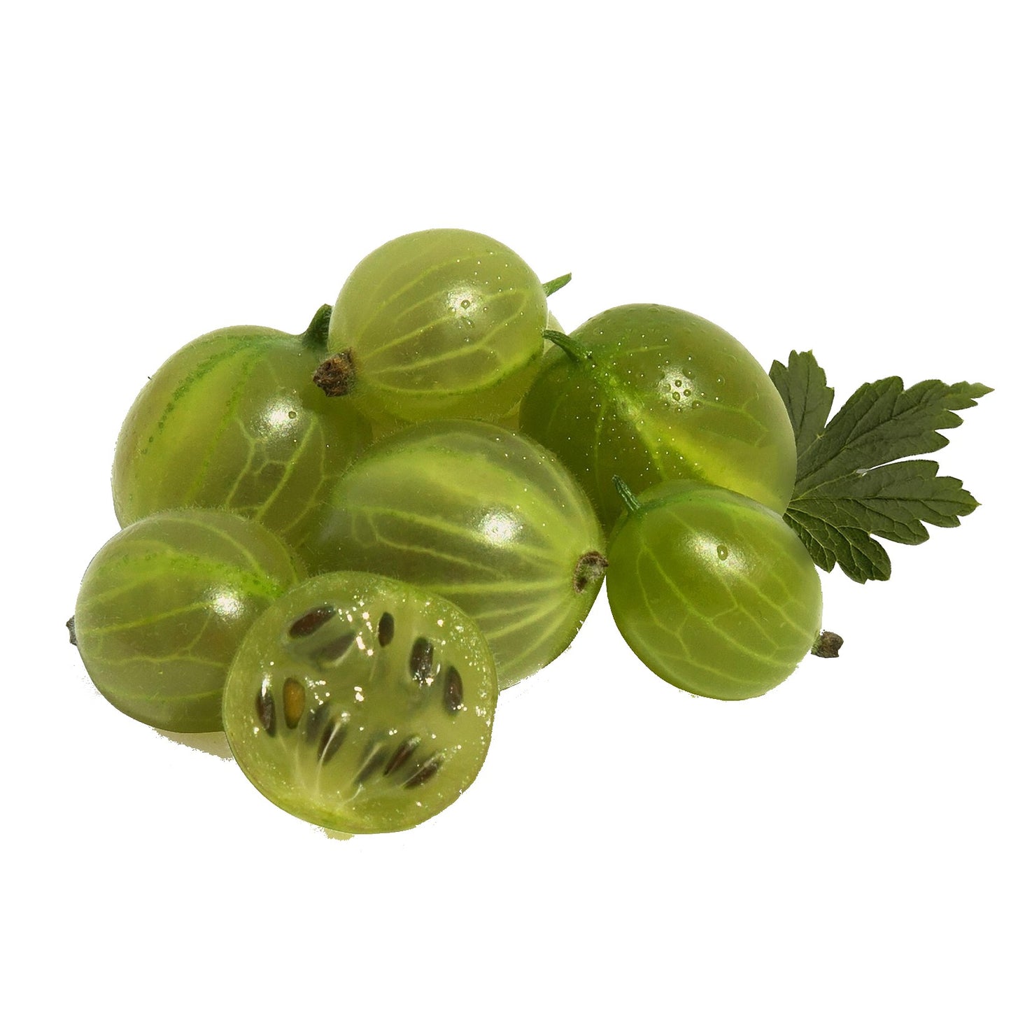 חזרזר (גוסברי) קפוא - פריקפוא - פריקפוא