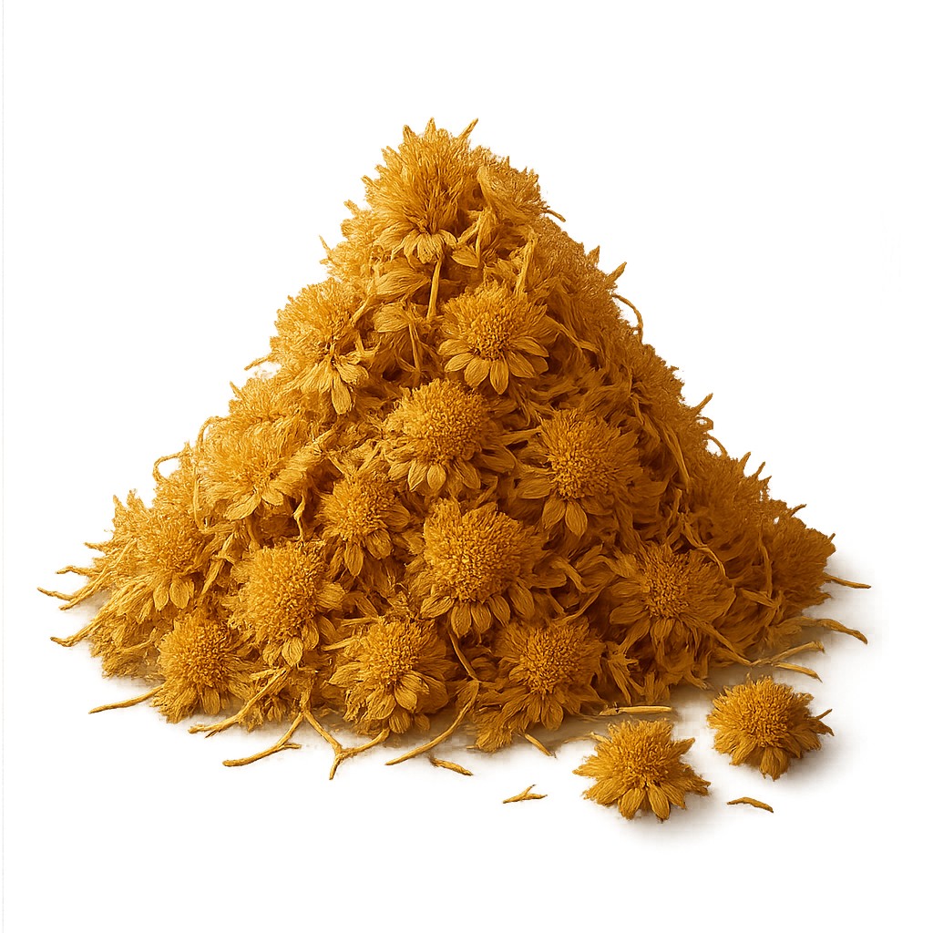 פרחי חרצית מיובשים - גד השדה - פריקפוא