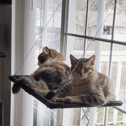מיטת ערסל בתלייה לחתול - נצמד לחלון - חזק במיוחד - Feed My Pet - פריקפוא