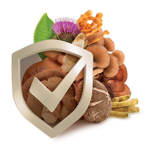 כמוסות פורמולת שילד | SHIELD FORMULA - ברא צמחים - פריקפוא