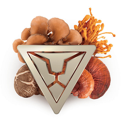 אבקת פורמולת פאוור | Power Formula - ברא צמחים - פריקפוא