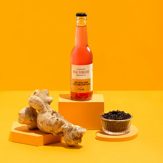 משקה קמבוצ'ה מוגז אורגני סמבוק שחור וג'ינג'ר | היי קמבוצ'ה - Hi Kombucha - פריקפוא