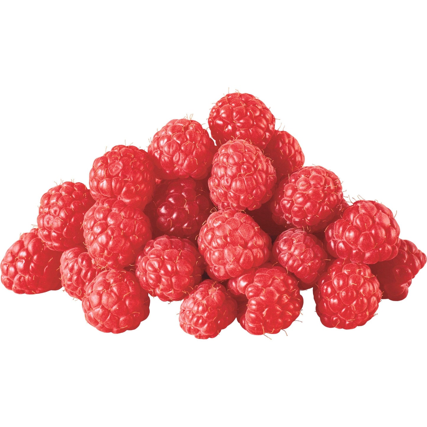 פטל אדום שלם קפוא - פריקפוא - פריקפוא