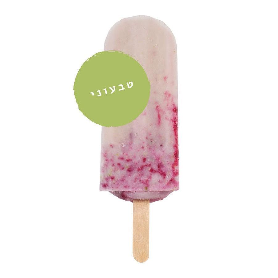 קרטיב טבעוני מלבי פיסטוק - 3 יחידות | פאלטאס - Paletas - פריקפוא