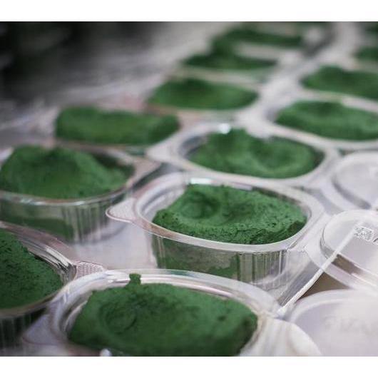 ספירולינה קפואה 10 יחידות - פריקפוא - פריקפוא