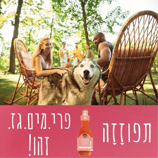 תפוזזה - משקה אורגני מוגז תפוז דם ודומדמניות - גרופר - פריקפוא