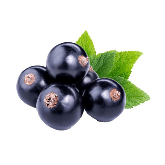 דומדמניות שחורות קפואות - פריקפוא - פריקפוא