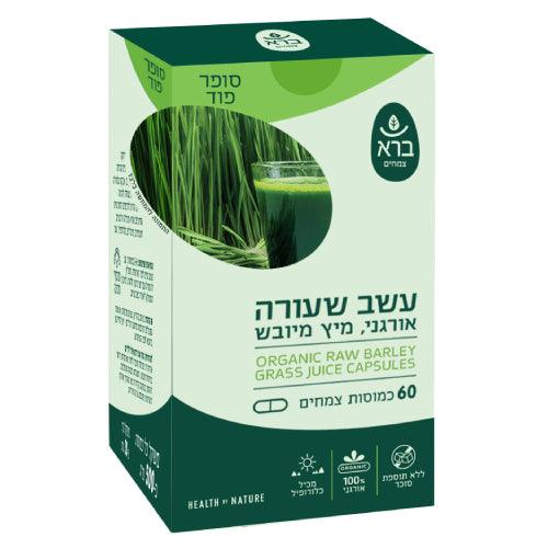 כמוסות עשב שעורה אורגני | מיץ מיובש | Raw Barley- Grass Juice - ברא צמחים - פריקפוא