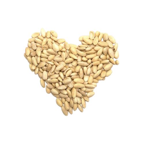 שקד מולבן שלם במשקל - פריקפוא - פריקפוא