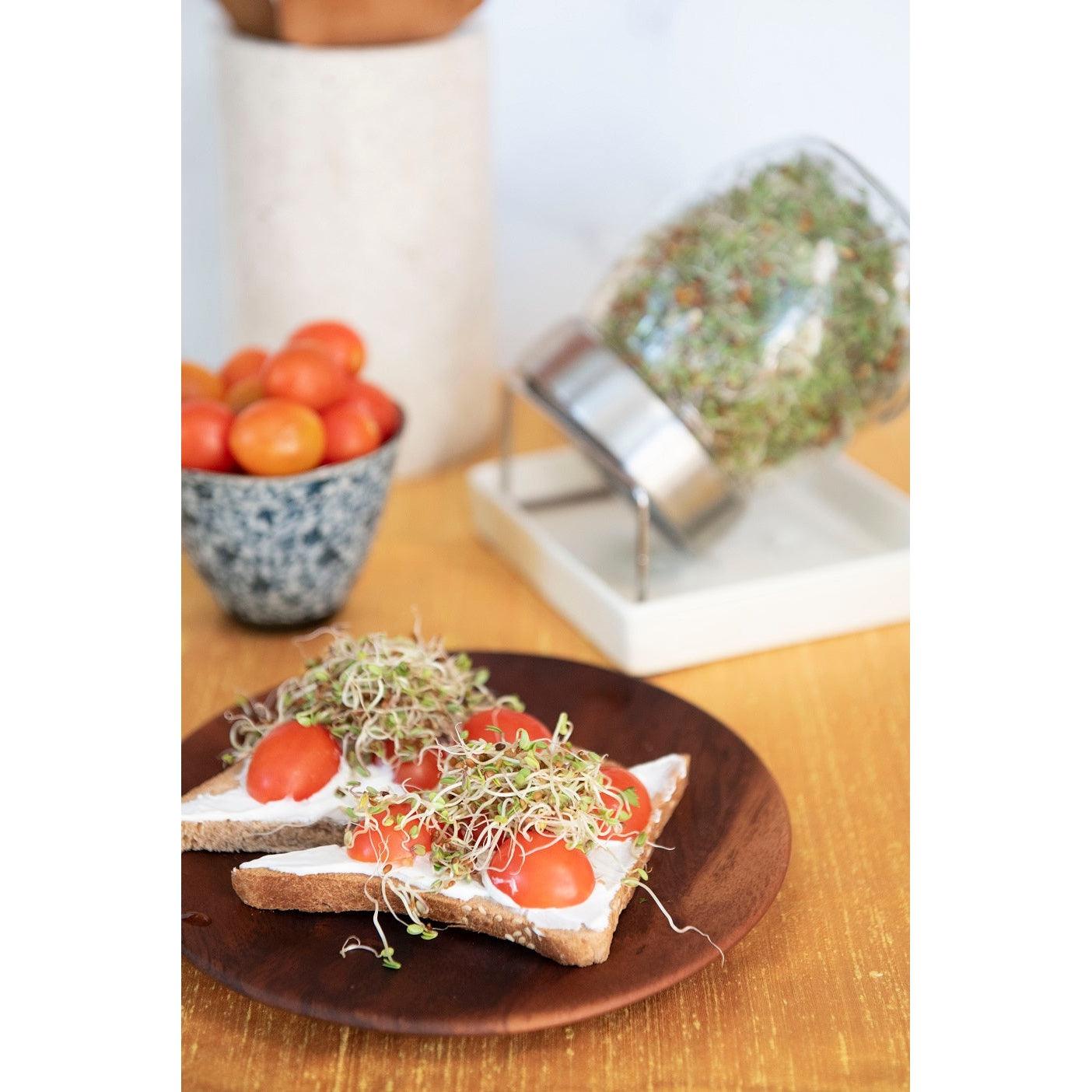 זרעי ברוקולי | ג׳מוקה - Jammoka - פריקפוא