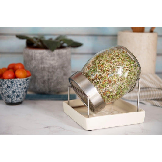 זרעי קייל | ג׳מוקה - Jammoka - פריקפוא