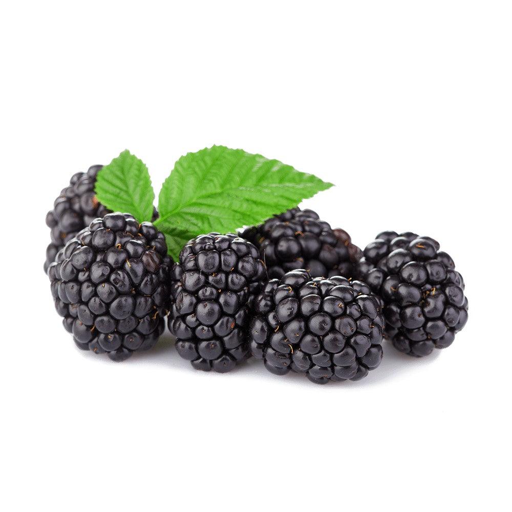 פטל שחור קפוא - פריקפוא - פריקפוא