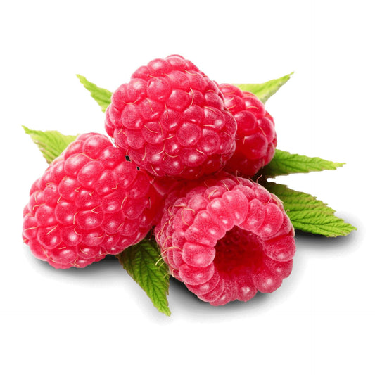 פטל אדום שלם קפוא - פריקפוא - פריקפוא