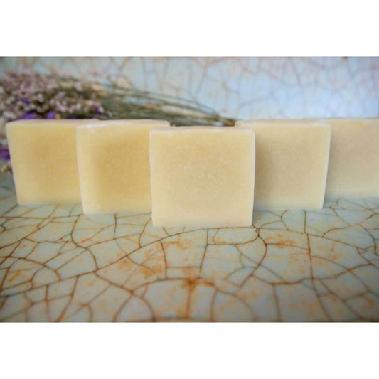 סבונפשוט - עץ החיים - פריקפוא