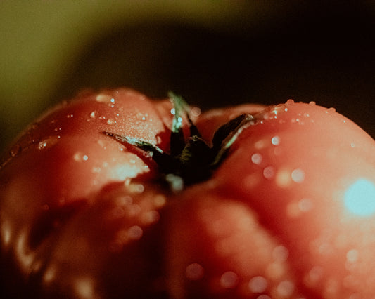 A close-up of a ripe tomato with water droplets.