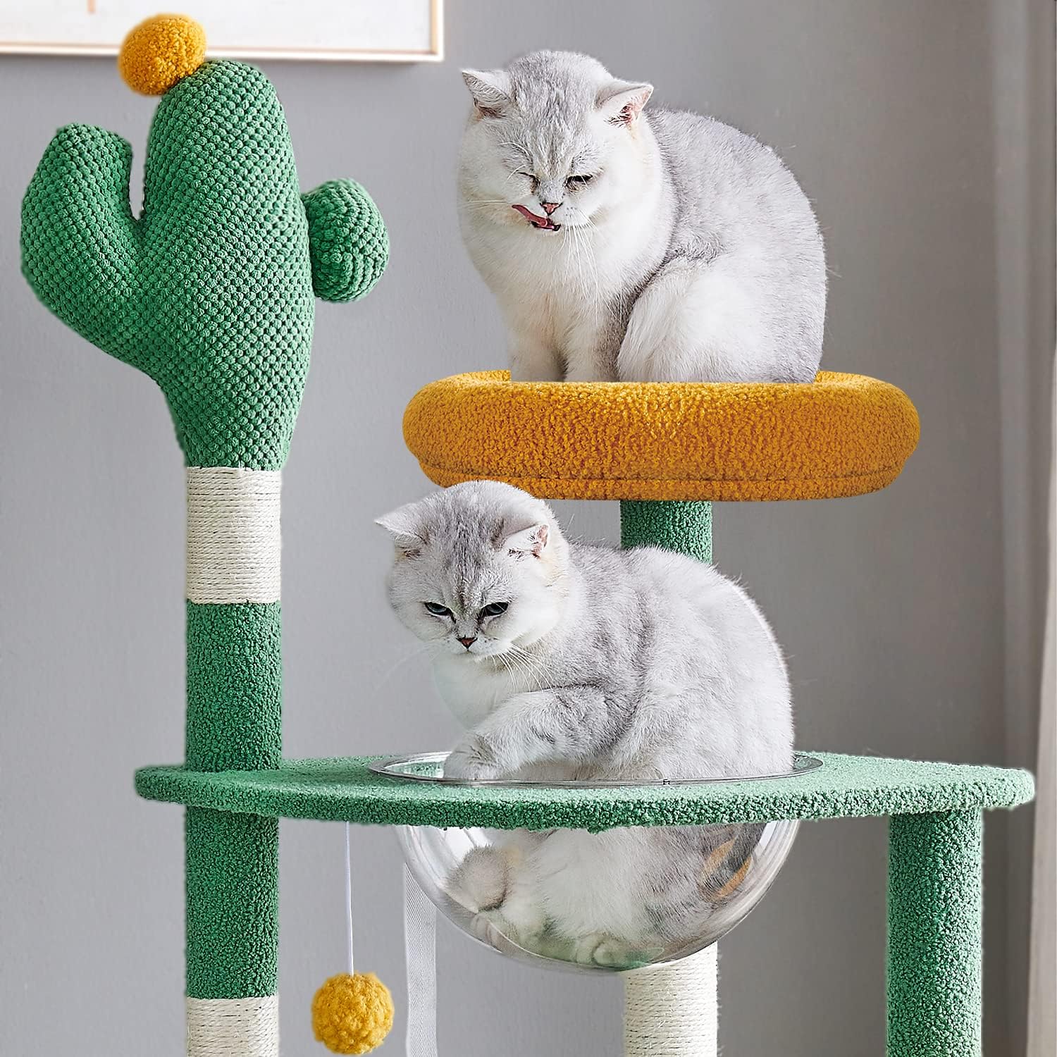 מתקן גירוד מעוצב קקטוס לחתולים בעל 5 קומות - Feed My Pet - פריקפוא