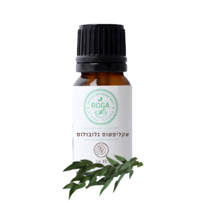 שמן אתרי אקליפטוס גלובולוס | רוגע - ROGA - פריקפוא