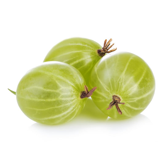 חזרזר (גוסברי) קפוא - פריקפוא - פריקפוא