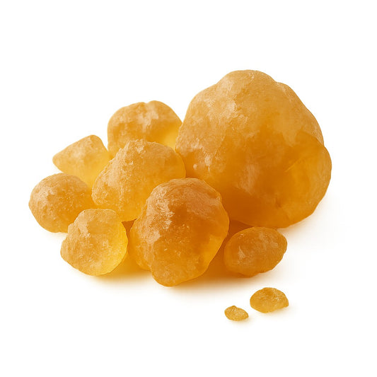 גאם ערביק (גומי ערבי) - גד השדה - פריקפוא