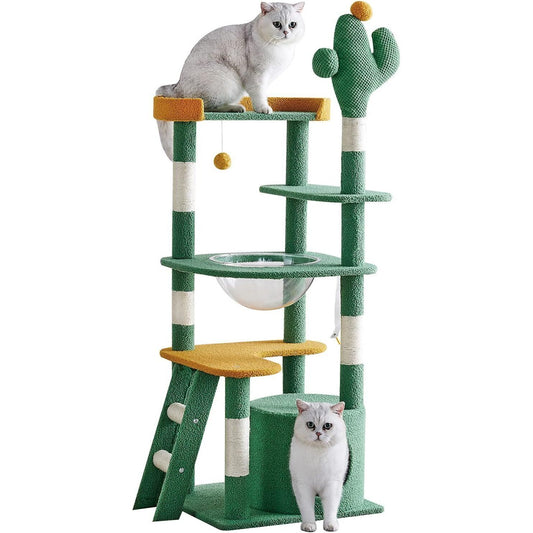 מתקן גירוד מעוצב קקטוס לחתולים בעל 5 קומות - Feed My Pet - פריקפוא