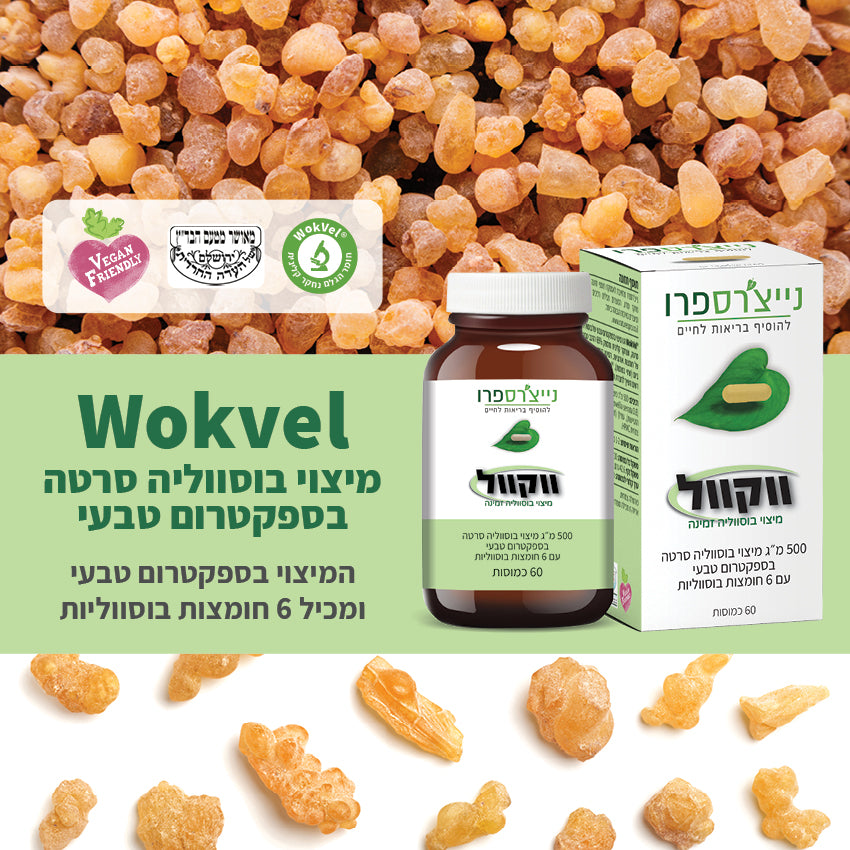 ווקוול | WokVel – פריקפוא