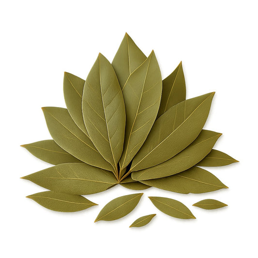 עלי דפנה שלמים מיובשים - גד השדה - פריקפוא