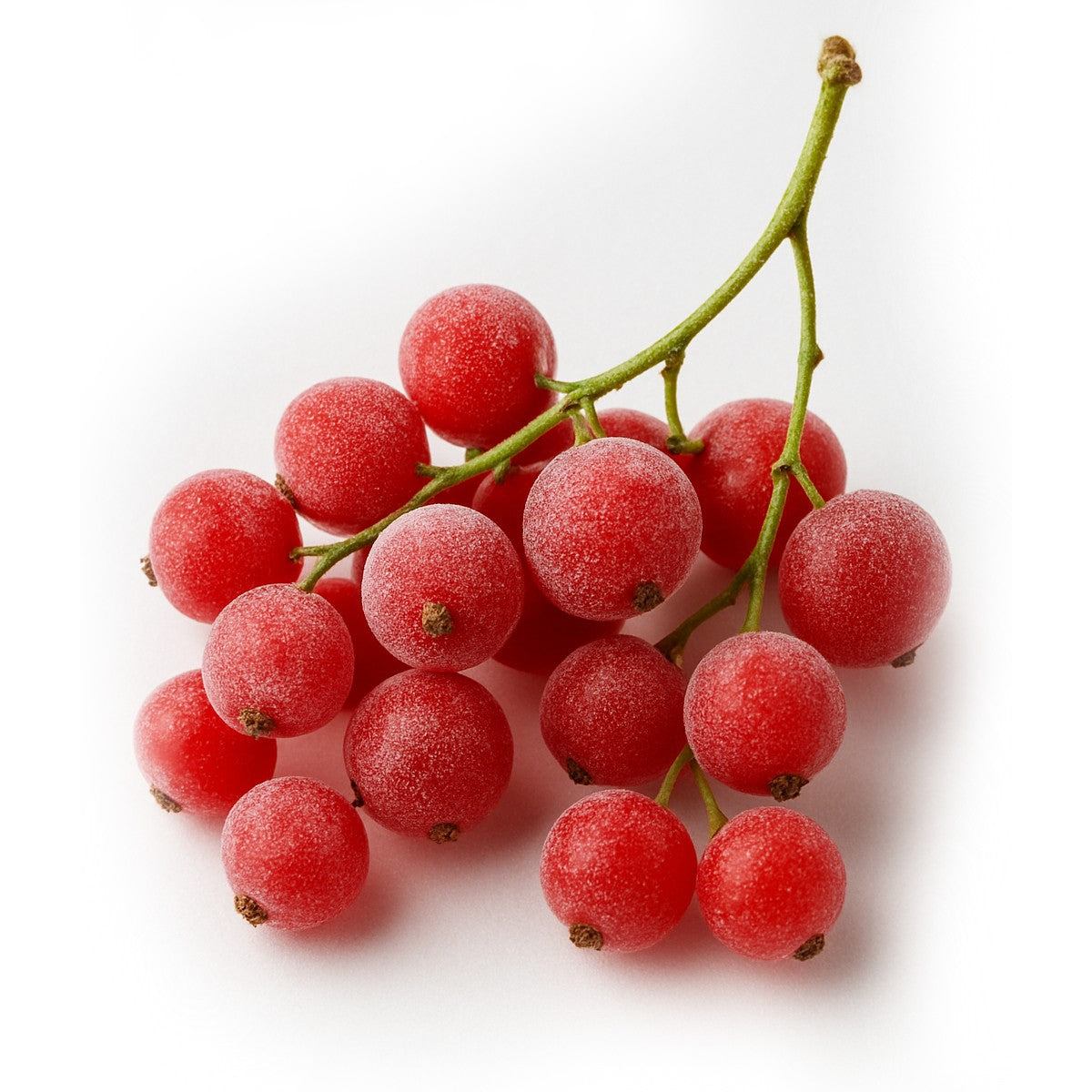 דומדמניות אדומות קפואות - פריקפוא - פריקפוא