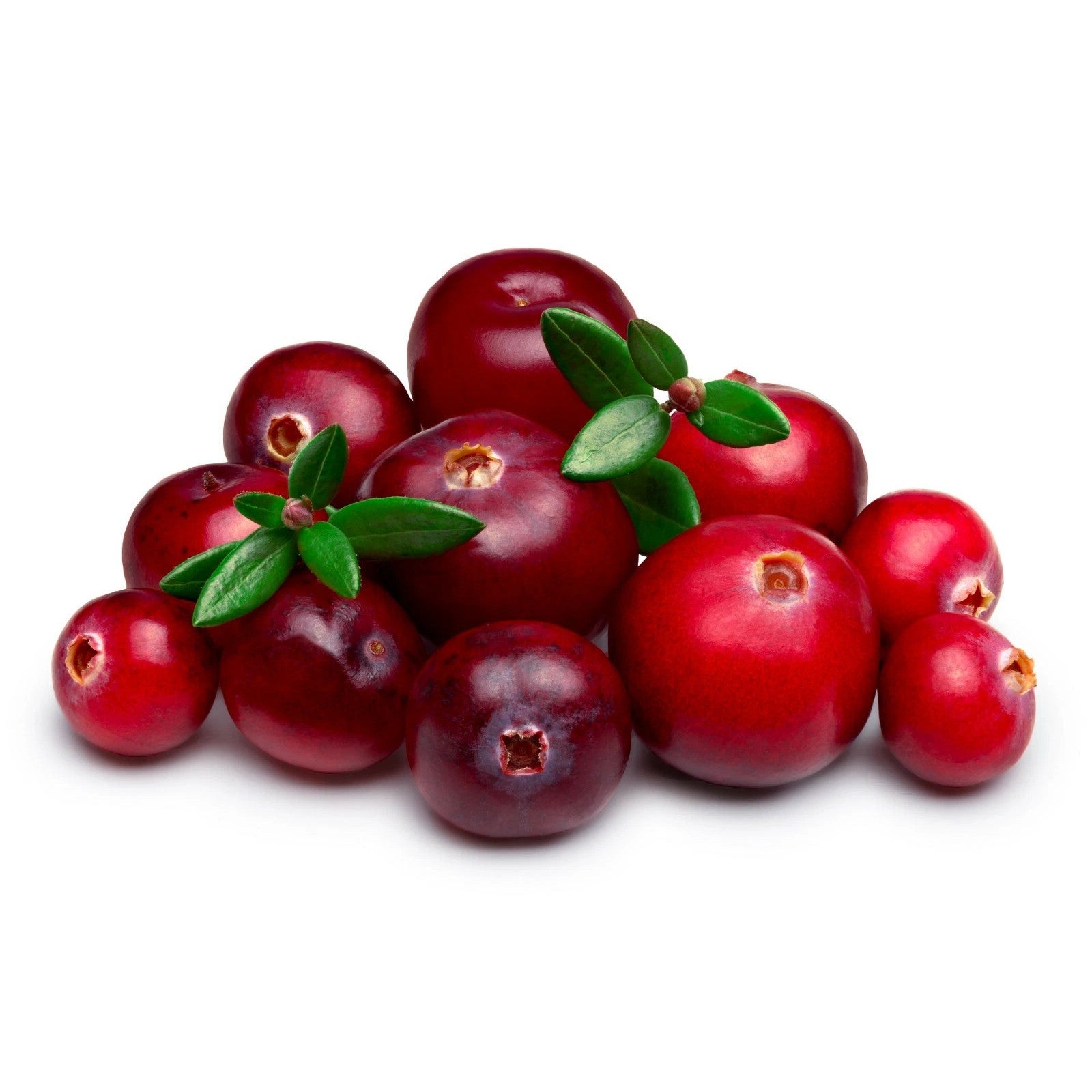 חמוציות יער קפואות - פריקפוא - פריקפוא