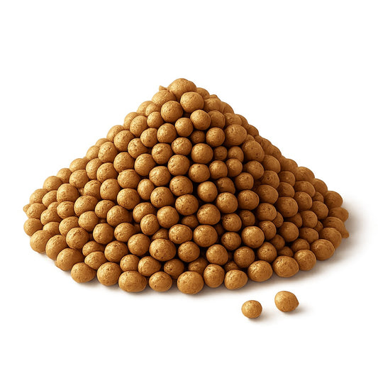 זרעי כוסברה - גד השדה - פריקפוא