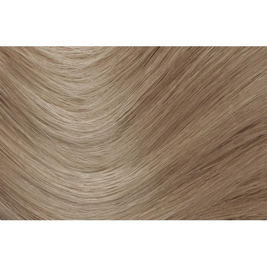 צבע טבעי לשיער גוון בלונד מוזהב כהה 10C | הרבטינט - Herbatint - פריקפוא