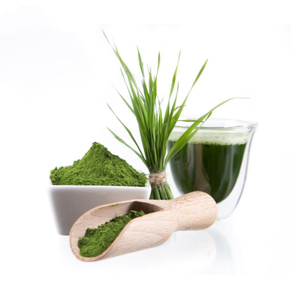 אבקת עשב שעורה אורגני | מיץ מיובש | Organic Raw Barely-Grass Juice Powder - ברא צמחים - פריקפוא