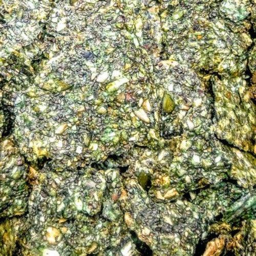 קרקר ירוק RAW - שורשי ציון - פריקפוא
